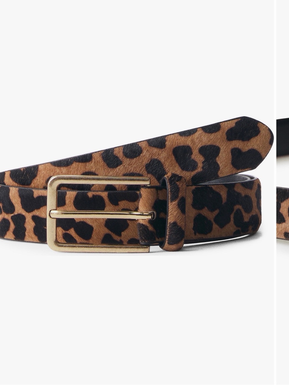 Mango Leopard-Print Belt in Brown and Black with Gold Buckle
